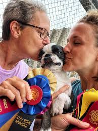 AKC Scent Work Advanced Trial Results