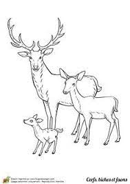 dessin a colorier cerf biche et faon en famille hugolescargot com coloriage chasse monstres