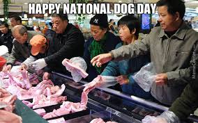 Hooray, it's national dog day! National Dog Day By Aa Dawgman Meme Center