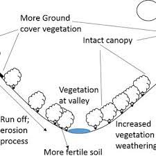 The concept of an aspect map is simple to understand. Effect Of Topography Slope Aspect Elevation And Topographic Position Download Scientific Diagram