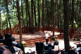 Proposal ini dibuat sebagai pengajuan kegiatan penelitian. Ini Hutan Pinus Bantul Yang Disebut Presiden Jokowi Instagramable Halaman All Kompas Com