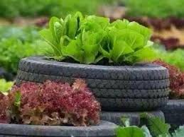 Context sentences for kebun in english. 25 Kebun Sayur Mini Ideas Plants Garden Vegetable Garden