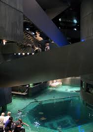 National Aquarium 8 2 09 24 Places To Go Places The Places Youll Go