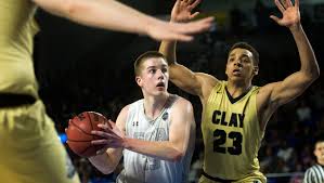 Prep basketball: Top performers in boys high school basketball