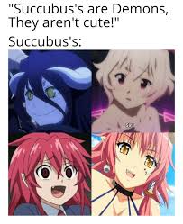 No we have a Succubus at home : r/goodanimemes