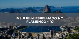 Brazilian champions flamengo appointed former national team goalkeeper rogerio ceni as the club's new coach on tuesday following the sacking of domenec. Insulfilm Espelhado No Flamengo Rj House Filme