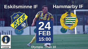 Dessutom vann man svenska cupen. Eskilsminne If