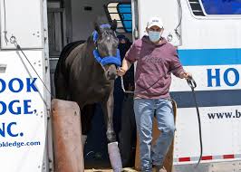 Medina spirit (foaled april 5, 2018) is an american thoroughbred racehorse who won the 2021 kentucky derby. U Lpjg0ep8onam