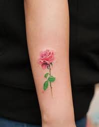 99 Gorgeous Unisex Rose Tattoo Designs That Redefine Sexiness With Images Pink Rose Tattoos Rose Tattoo Rose Tattoo Design
