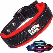 Don't buy without first reading steve's collar reviews! The 9 Best Dog Collars Of 2021