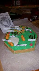 Edible 3d Plant Cell 5th Grade Project We Used A Rice Krispie Treat Base Frosting Graham Crackers Ci Plant Cell Project Edible Cell Project Cells Project
