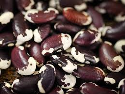 1500 Year Old Cave Bean In 2020 Beans Unique Vegetables Colorful Vegetables