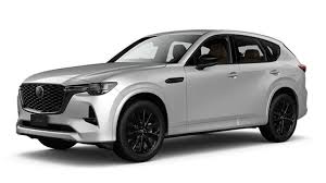 Image result for Tan 2022 Fleet