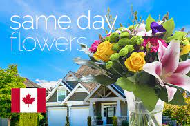It is a caring gesture to send flowers to someone. Same Day Flowers In Canada Send Flowers To Canada Direct2florist