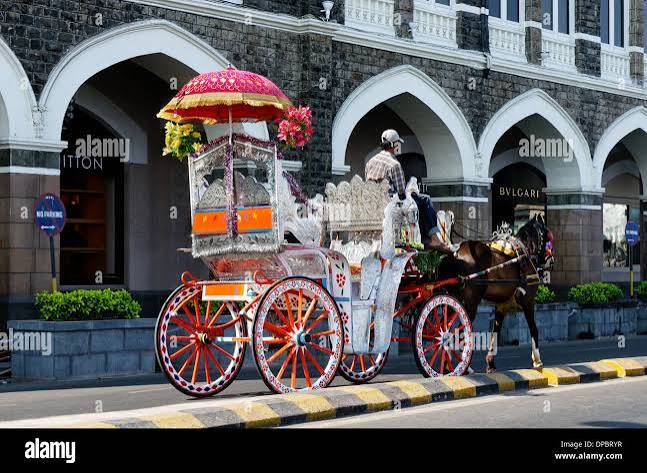A fancy horse carriage and the Taj Mahal Hotel, Mumbai (Bombay) india Stock Photo - Alamy