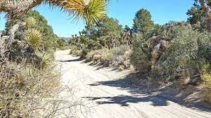 Get an alert when a campsite becomes available at turkey flat ohv staging area! Best Big Bear Lake Cactus Flats Dirt Biking Review Los Angeles California