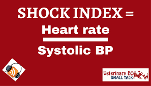 Image result for Shock Index