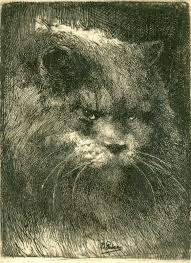 Kurt Peiser Cat Cat Painting Cat Art Animal Art