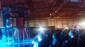 Image result for Festival Erótico de Alicante (FEDA 2016) qpb