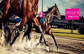 Elitloppet körs alltid på solvalla. Elitloppet Race Of The Weekend In Europe Racing Insider