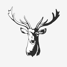 Deer Animal Antler Illustration Graphics Logo Animal Clipart Deer Animal Png Transparent Clipart Image And Psd File For Free Download Antler Illustration Animal Clipart Illustration