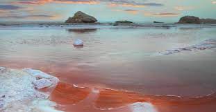 Is Tunisia The Next Great Wine Tourism Destination Wine Tourism Tourism Tunisia