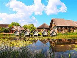 30 apartments with one double room and a living room, 1 apartment with 2 double rooms and a living room, 50 double rooms and 8 studios. Book At Complex Green Village Sfantu Gheorghe Delta Romania