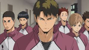 Due to her high rank within the family, she is referred to only by her title of. Shiratorizawa On Tumblr