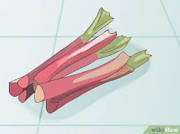 Check spelling or type a new query. How To Buy Rhubarb 10 Steps With Pictures Wikihow