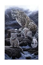 Harvest Mice Micromys Minutus On Wheat Stems Devon Uk Photographic Print By Ross Hoddinott Art Com Snow Leopard Art Big Cats Art Snow Leopard