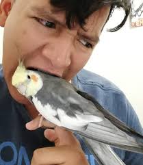 Let me hear it this is my birch I luv her she my rat bar bitch