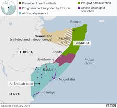 Who Are Somalia S Al Shabab Bbc News