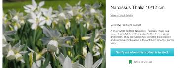 Pin On Garden Bulbs Narcissus Thaliai