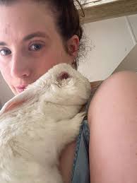 🐓 🦆POCKET PET FOSTER CARER OF THE MONTH 🐰 🐹 Caring for small animals  such as rabbits is no easy task! Purchased usually as an easy or first time  pet, owners quickly