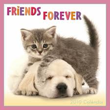 We did not find results for: Keep Smiling Photo Friends Forever Kitten Quotes Friends Forever Friends Forever Quotes