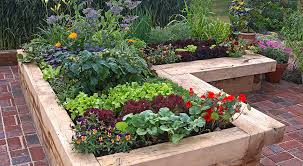 We list, explain and provide photos of the 24 garden options you have for your home and yard. Edible Plants Provide Food And Beauty San Diego Home Garden Lifestyles