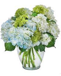 Flowers on broadway proudly serves rocky point and the surrounding areas. Miller Place Miller Place Peaceful Cottage In Rocky Point Ny Flowers On Broadway