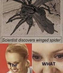 imgur post imgur really funny memes funny relatable memes stupid memes