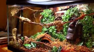 Pin On Vivariums Indoor Life Vessels