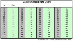 35 most popular overweight heart rate chart