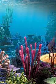 Tropical Reef Iphone Wallpaper Download Iphone Wallpapers Ipad Wallpapers One Stop Download Sea Animals Ocean Life Ocean Creatures