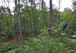 Ecomusee De Marqueze Musees A Sabres Guide Des Landes