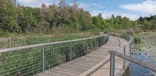 We did not find results for: 25 Amazing Ontario Boardwalk Trails For Scenic Hikes In Ontario