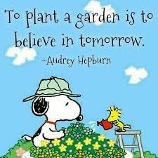To Plant A Garden Is To Believe In Tomorrow Visit Her Snoopy Quotes Snoopy Museum Believe Quotes