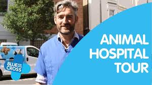 Our passion to treat your pets. Victoria Animal Hospital Blue Cross