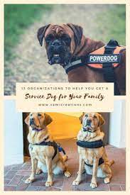 13 Organizations To Help Your Family Get A Service Dog For Your Child Service Dogs Autism Service Dogs Best Dogs For Kids