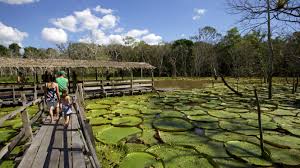 Tripadvisor has 128,209 reviews of manaus hotels, attractions, and restaurants making it your best manaus resource. Photos Of Manaus Brazil Big Beautiful Hidden Cnn Travel