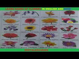 Pin On Digitaledu4kids