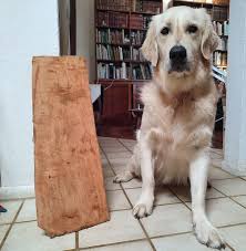 Hawaii Tropical Fruit Growers