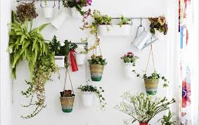 Besoin De Rapprochement Avec Mere Nature Optez Pour Le Mur Vegetal On Peut Installer A Peu Pres N Import Plantes Sur Les Murs Deco Plantes Decoration Plante
